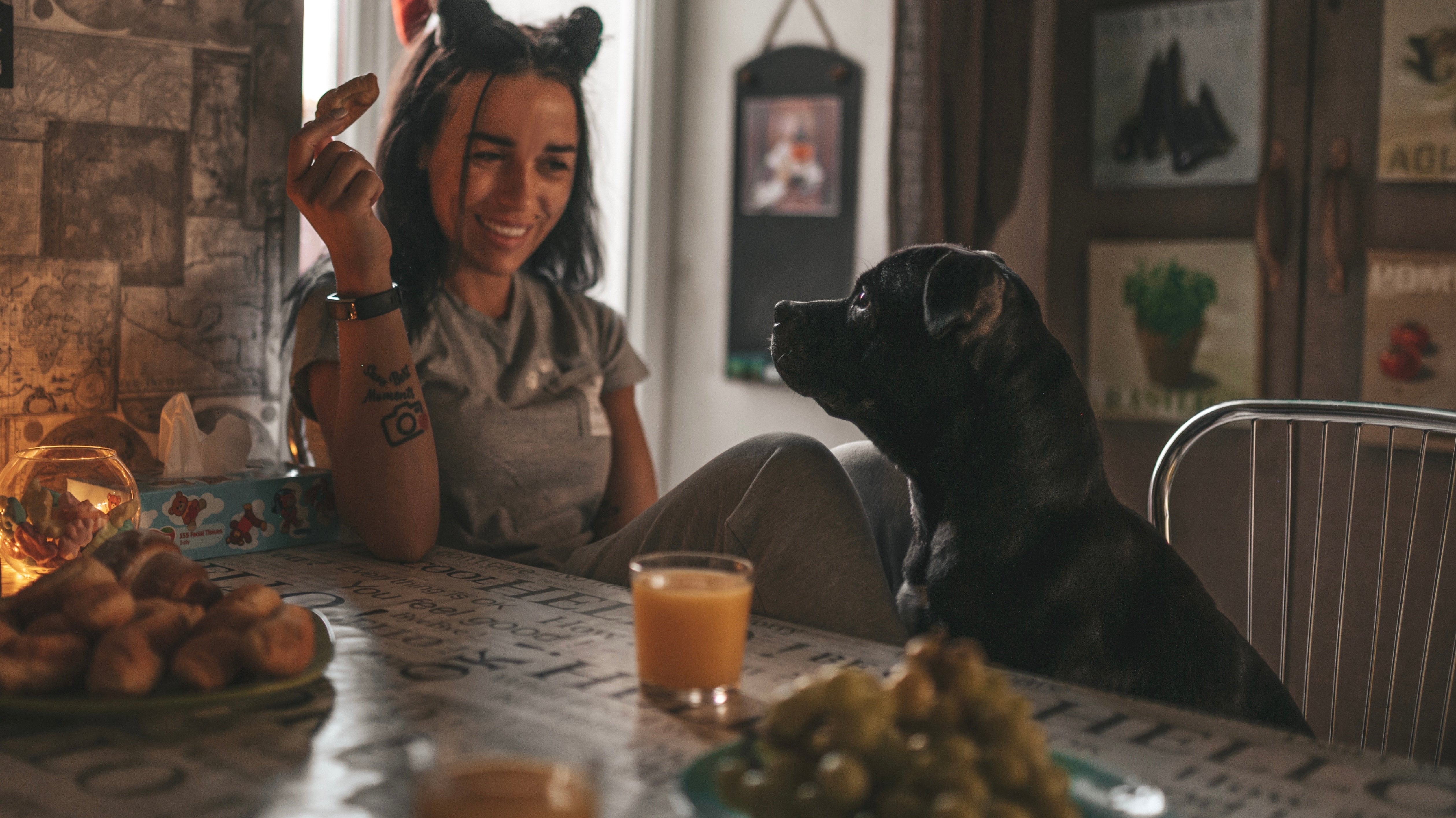 Die besten selbstgemachten Hundesnacks: Gesund und einfach