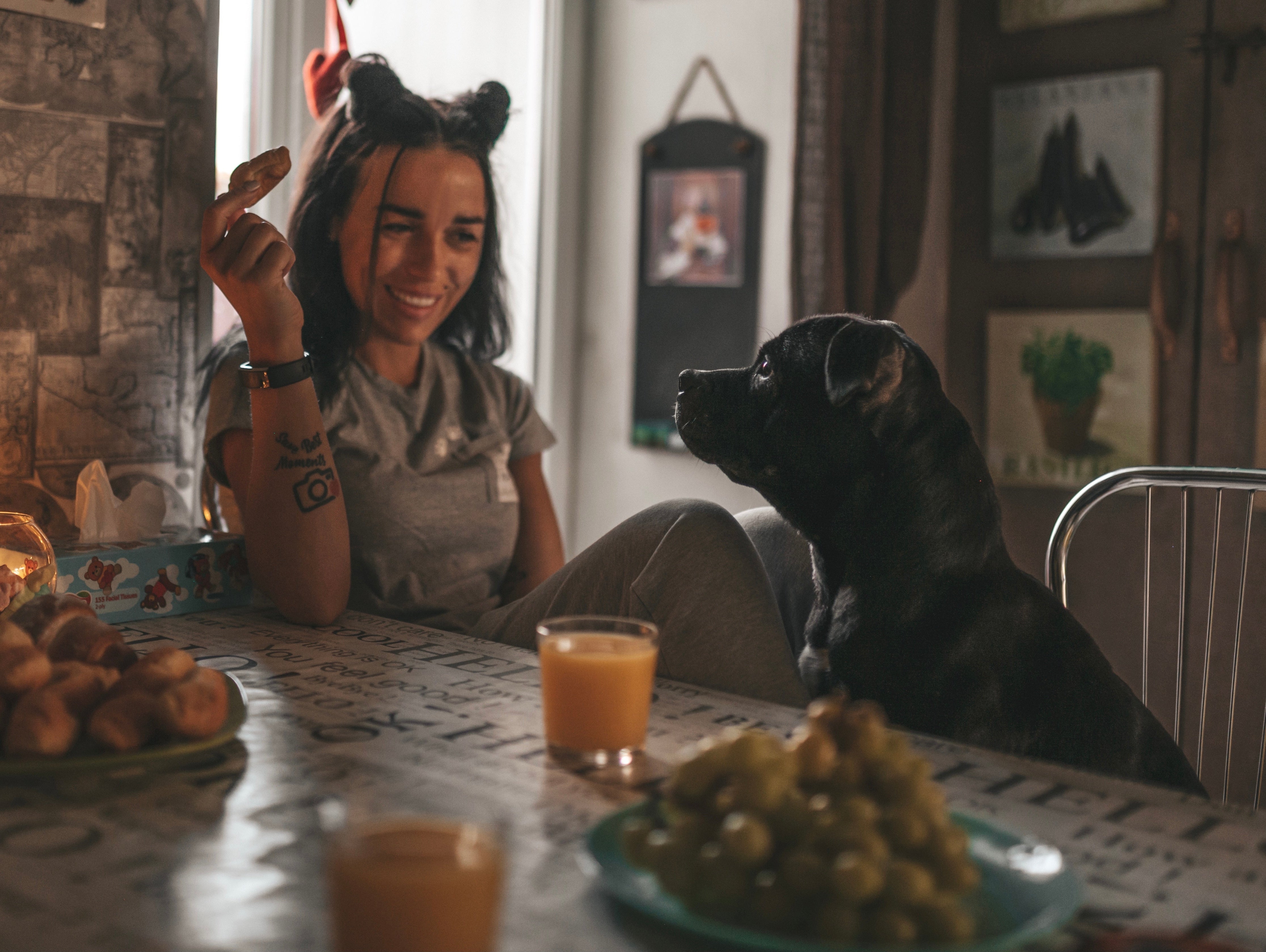 Die besten selbstgemachten Hundesnacks: Gesund und einfach
