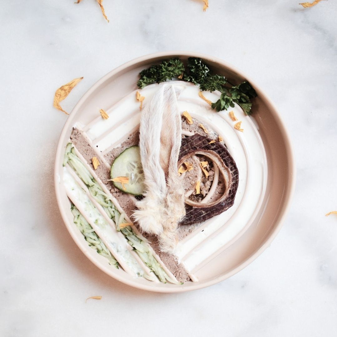 Warum langsames Essen so wichtig für unsere Hunde ist