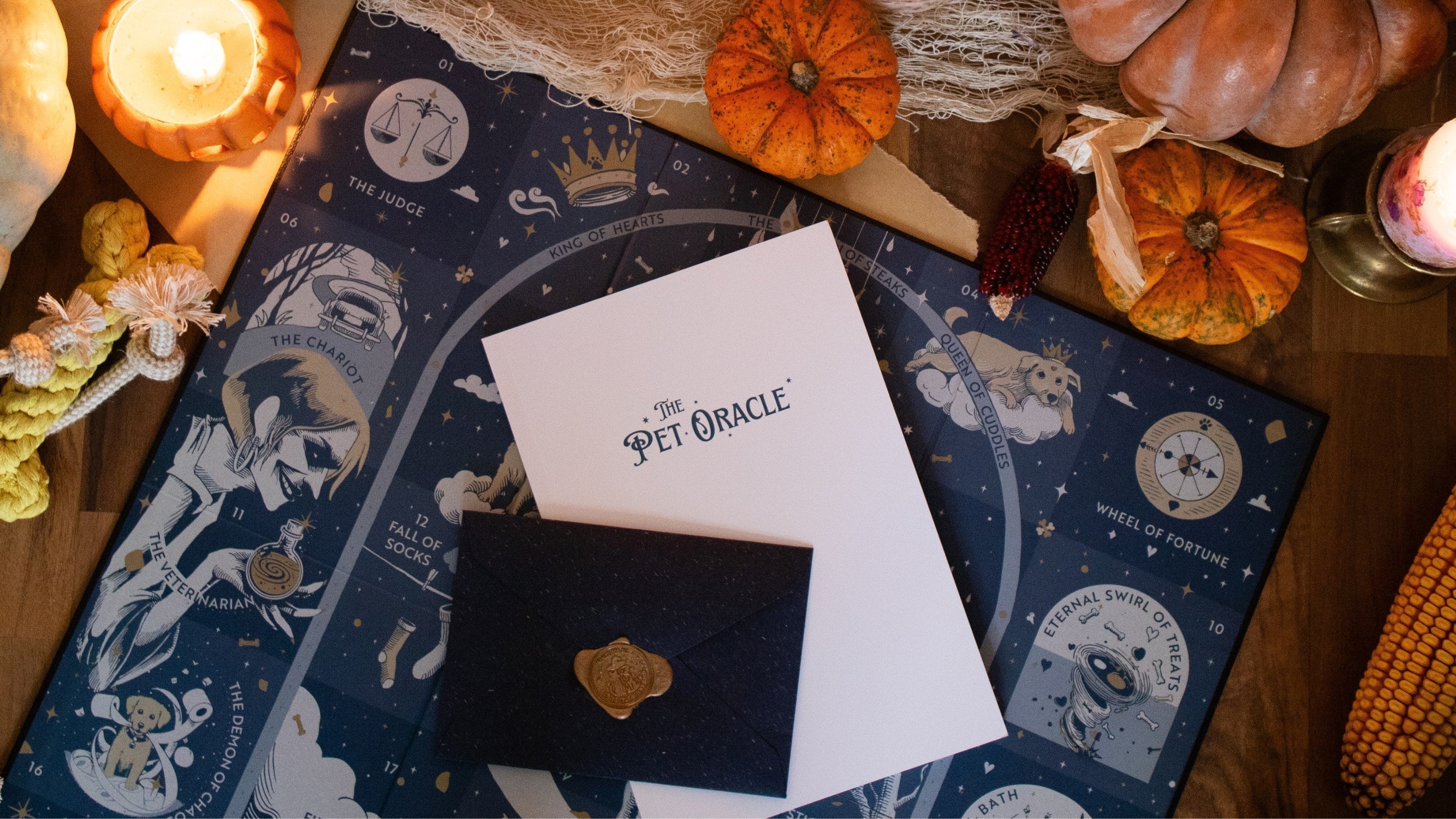 Halloween hundefreundlich feiern