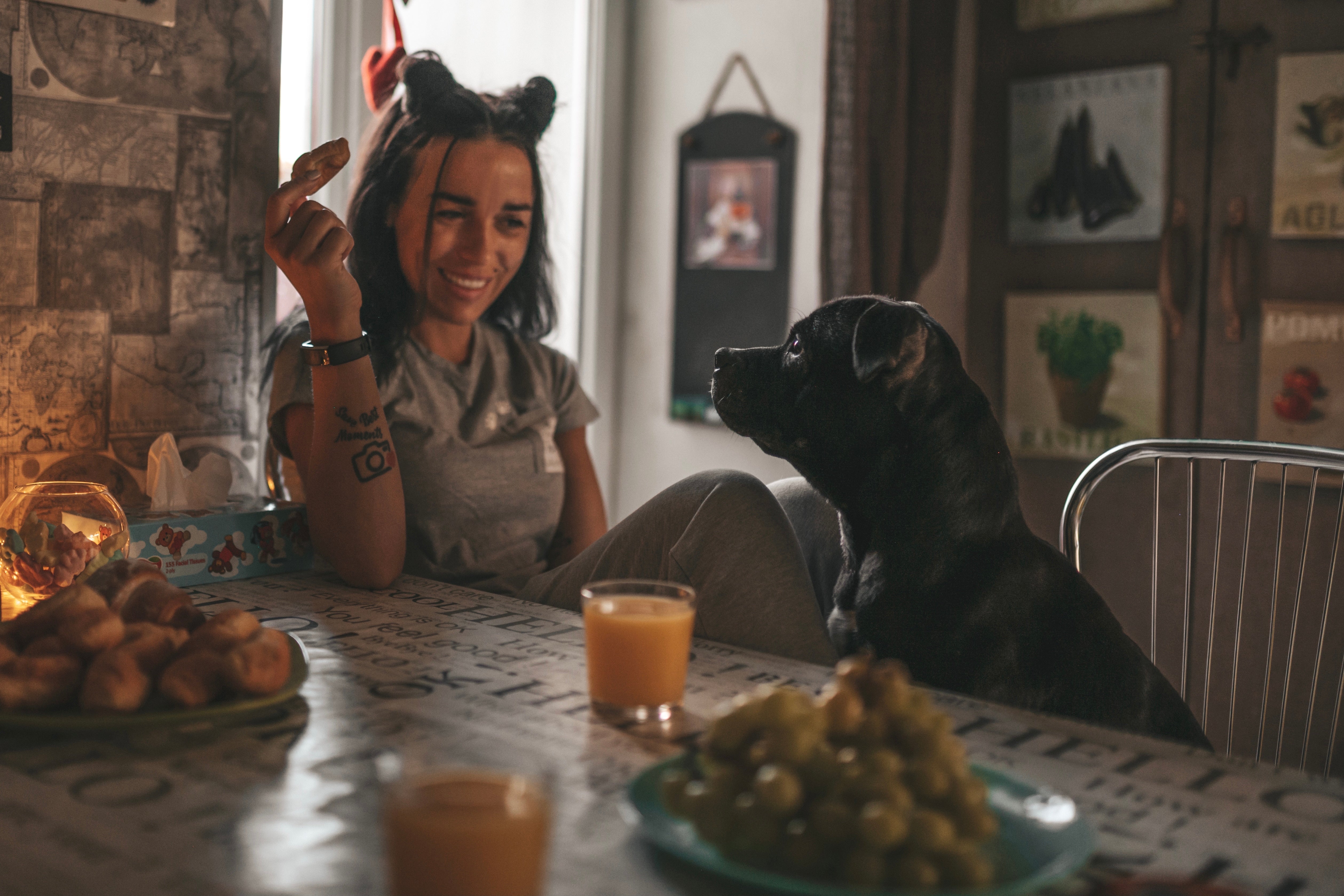 Die besten selbstgemachten Hundesnacks: Gesund und einfach